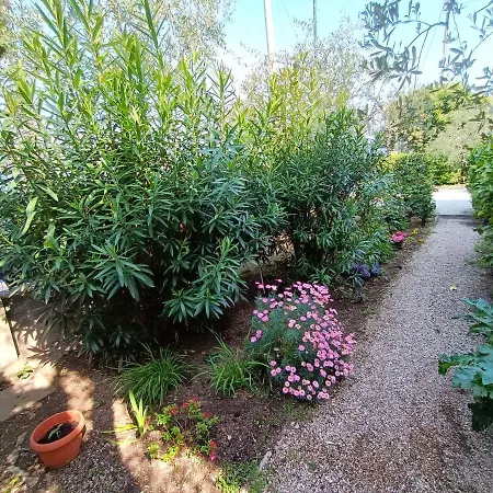 Lorena House דירה ברנצונה סול גארדה
