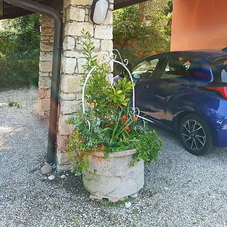 Appartement Lorena House *